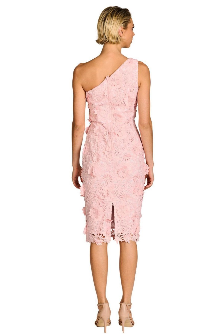 All Clothing Pink Ruby | Emily Rose Dress - Pink - Pr3